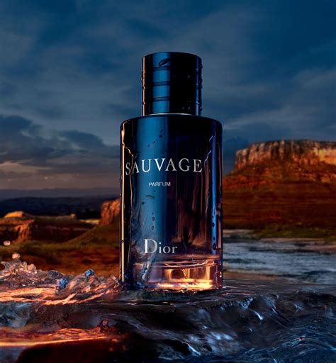 blaues dior parfum|dior sauvage perfume.